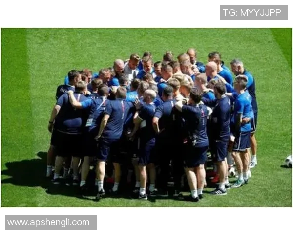 冰岛与尼日利亚精彩对决录像回放全程分析与精彩瞬间集锦