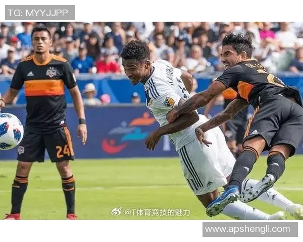 2019洛城银河对阵新英格兰的精彩对决回顾与赛季分析 2019洛城银河对阵新英格兰的精彩对决回顾与赛季分析