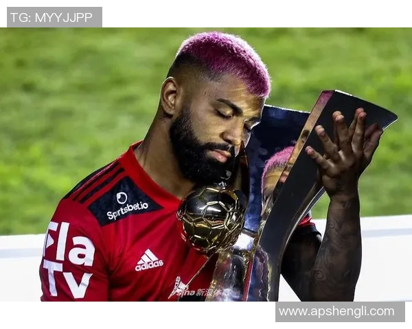 2017年弗拉门戈与圣保罗激战回顾与分析