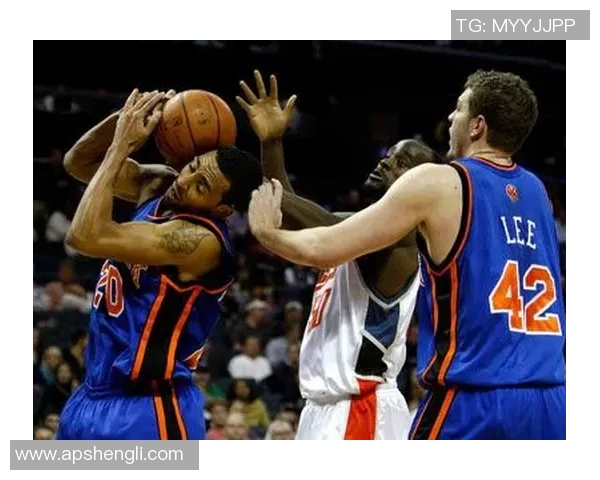 2012年12月6日尼克斯与山猫的激烈对决回顾与精彩瞬间分析