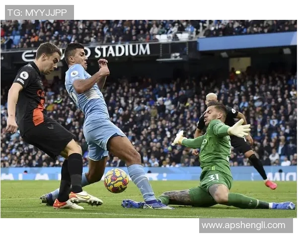 曼城与埃弗顿实力对比谁能在英超赛场更胜一筹