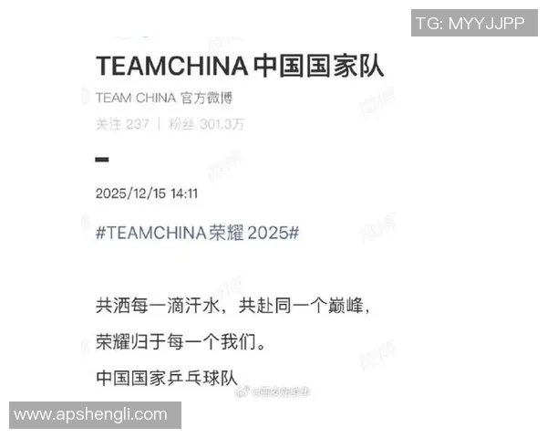 北京乒乓球队在钻石联赛中的拼搏历程与荣耀时刻全景回顾MBA