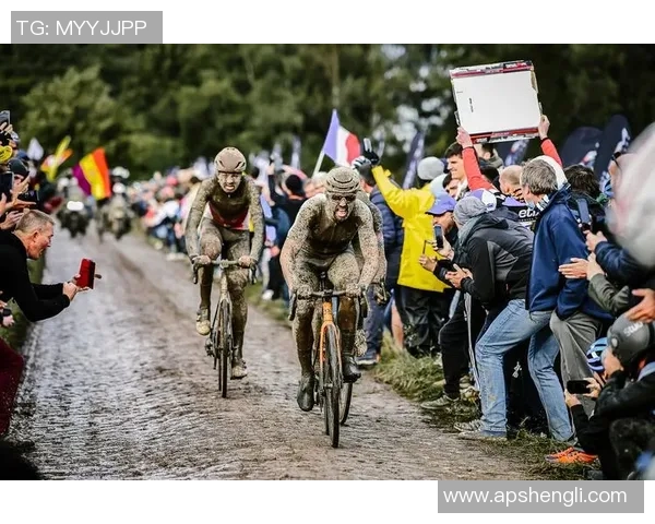 锡菲联与查尔顿激战正酣谁能在英冠赛场中笑到最后 锡菲联与查尔顿激战正酣谁能在英冠赛场中笑到最后