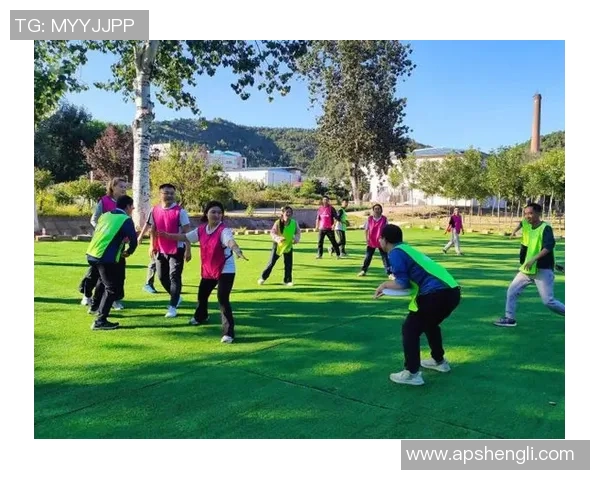 飞盘竞技背后的心理力量：深入重庆飞盘队的心灵世界与挑战MBA