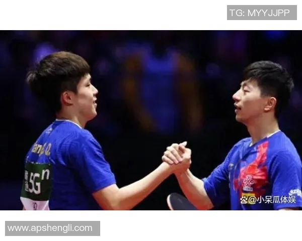 上海排球队实力解析：技术战术与团队协作的深度剖析