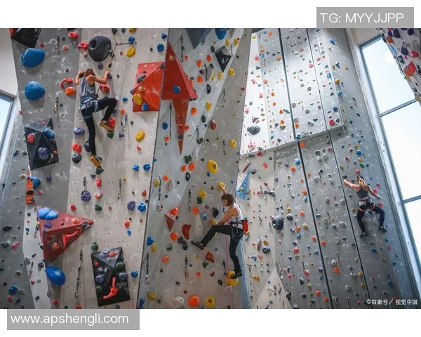 北京攀岩队的控制得失分析与攀岩运动发展的思考MBA