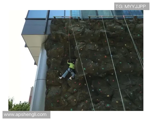 成都攀岩队意识表现的数据分析与提升策略探讨