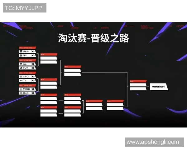 BLG战队转型之路的得与失深度解析与未来展望