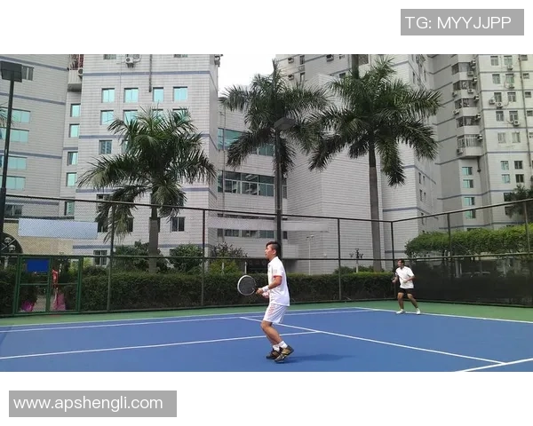 深圳网球队的蜕变之旅：从地方强队到国际舞台的奋斗故事