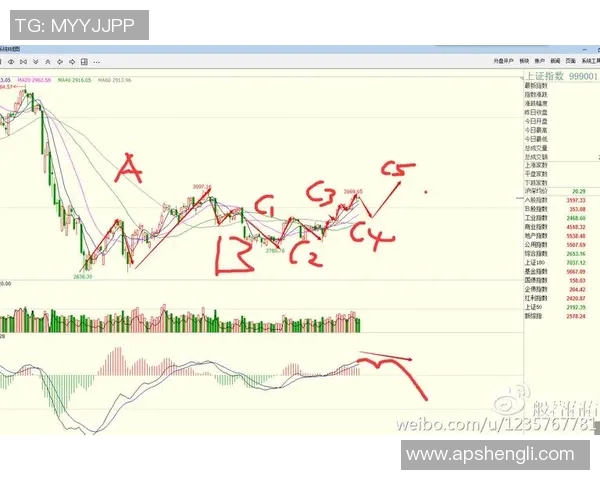 武汉排球队防守策略解析与战术演变探讨